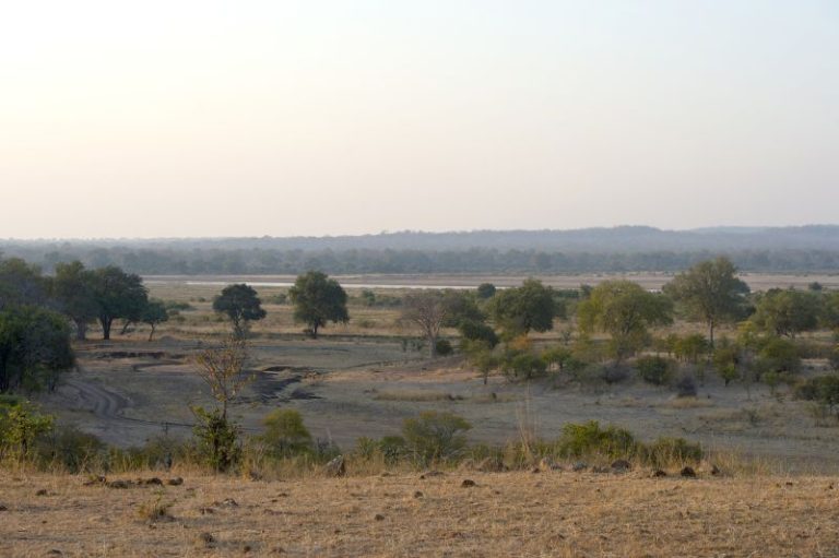 Elephant kills two female tourists from the UK and New Zealand in Zambian national park
